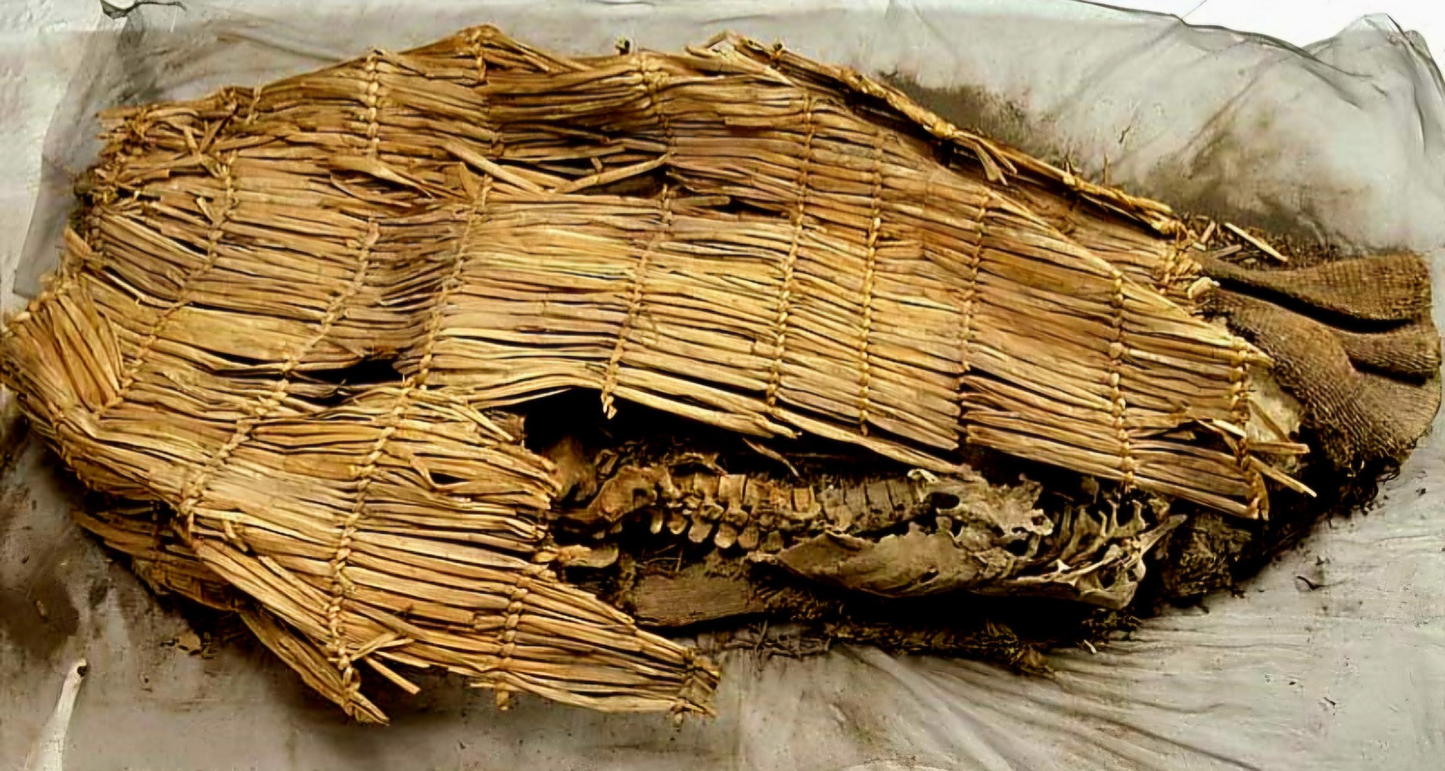 Digital Museum: Native American History