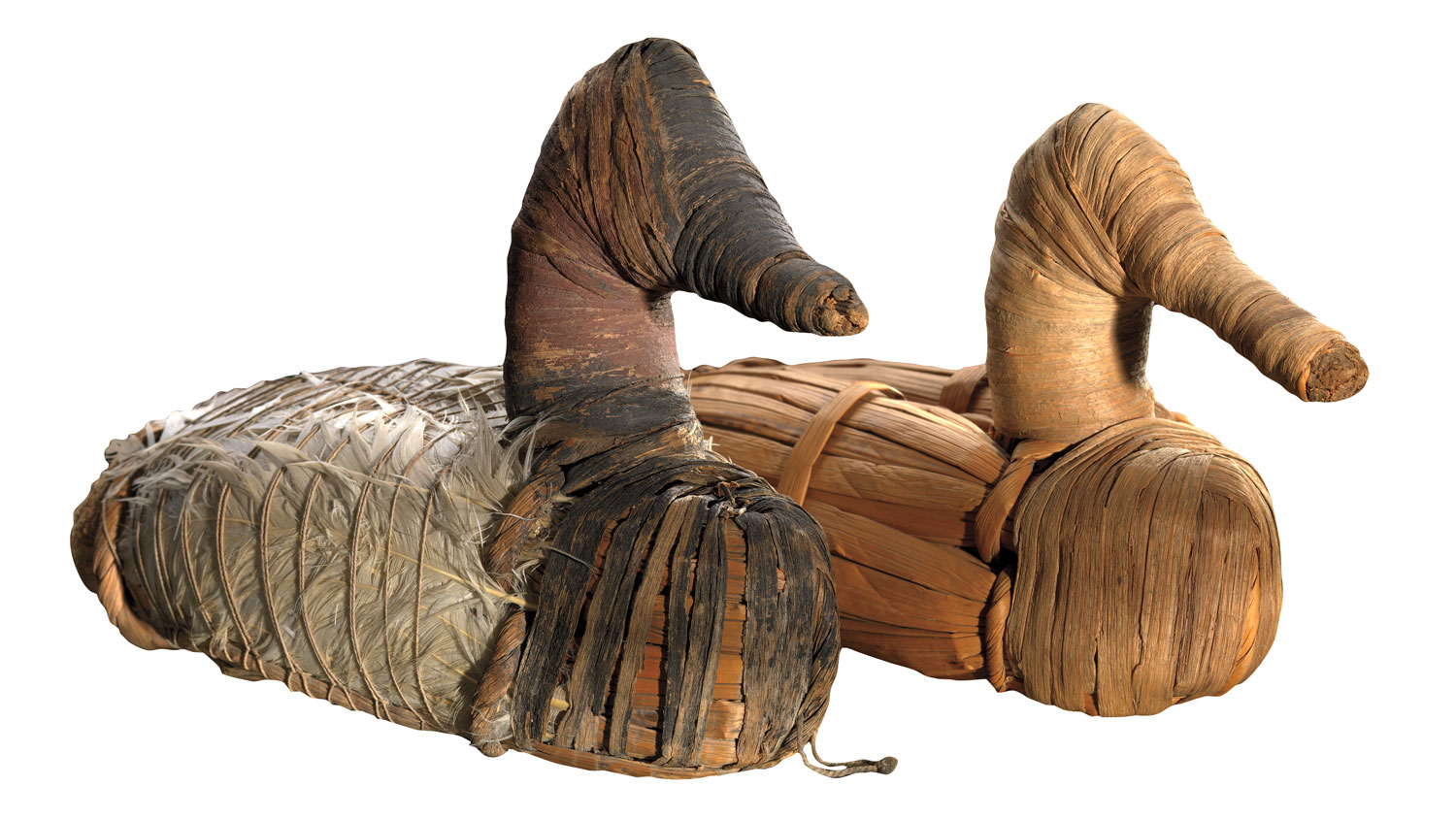 indigenous cultures digital preservation